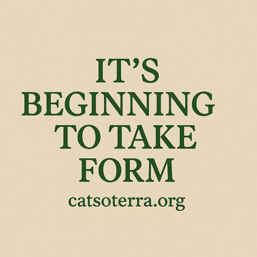 It’s Beginning To Take Form!