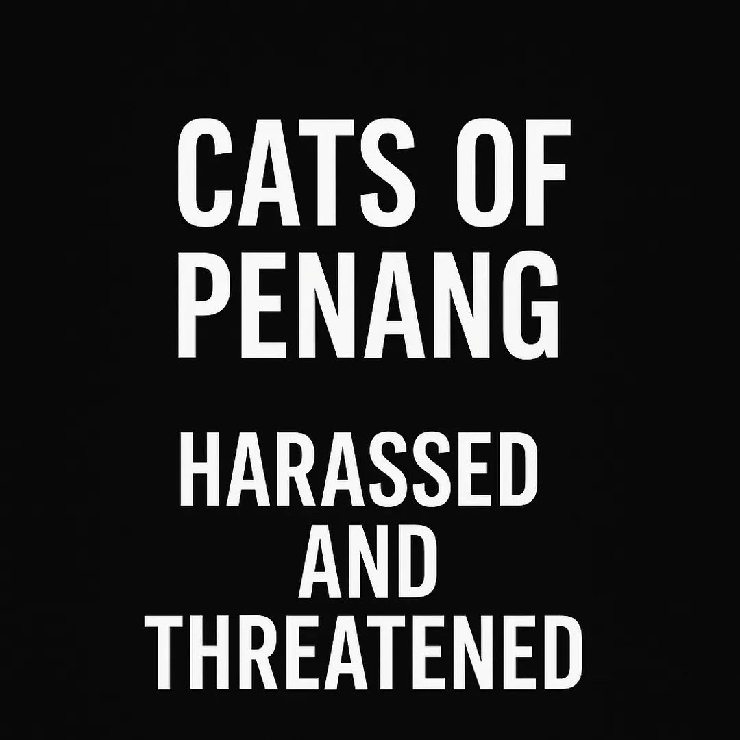 No to Gatekeeping. No to Threats. Yes to Justice.