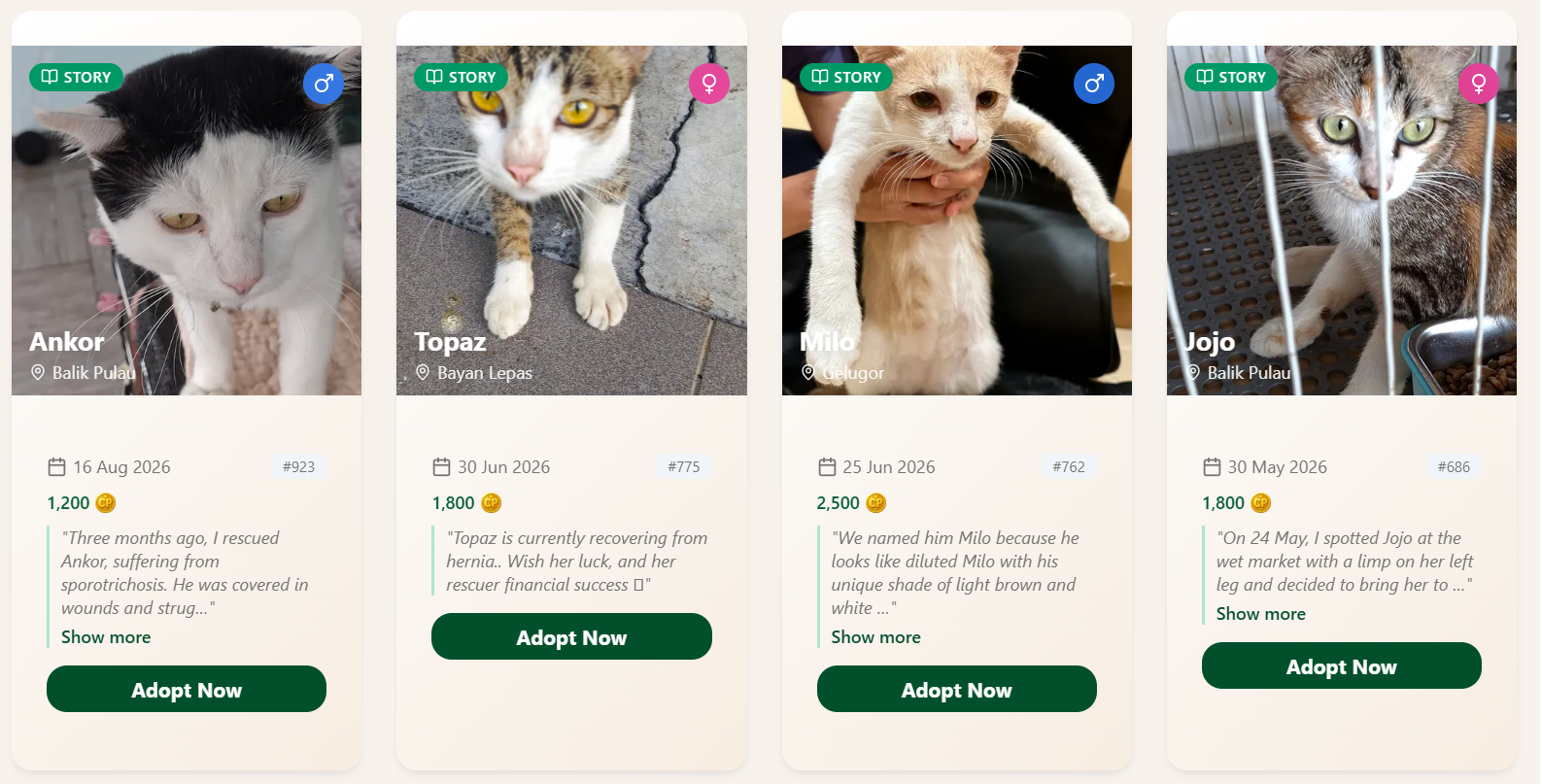 Cat-A-Log virtual adoption cards showing TNR cats available to adopt with Catsoterra Points
