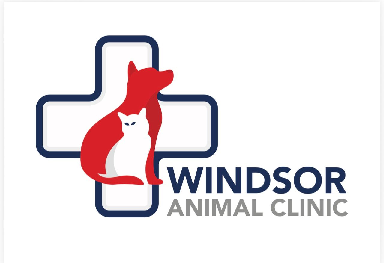 Windsor Animal Clinic logo