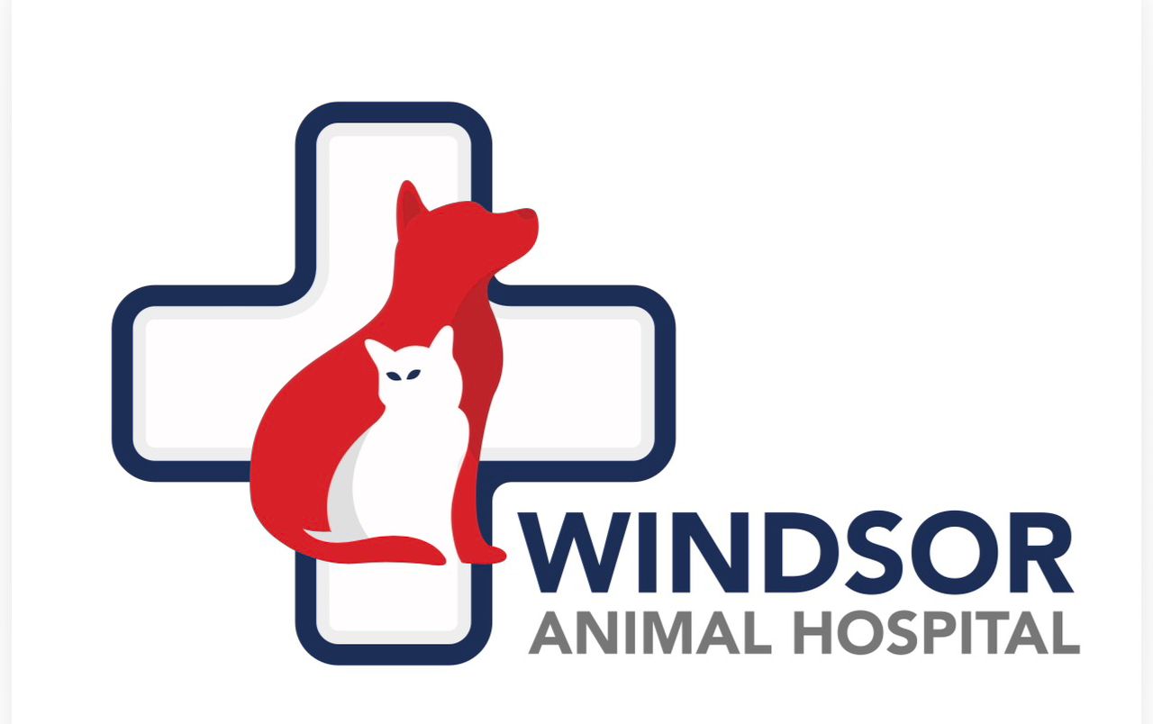 Windsor Animal Hospital logo