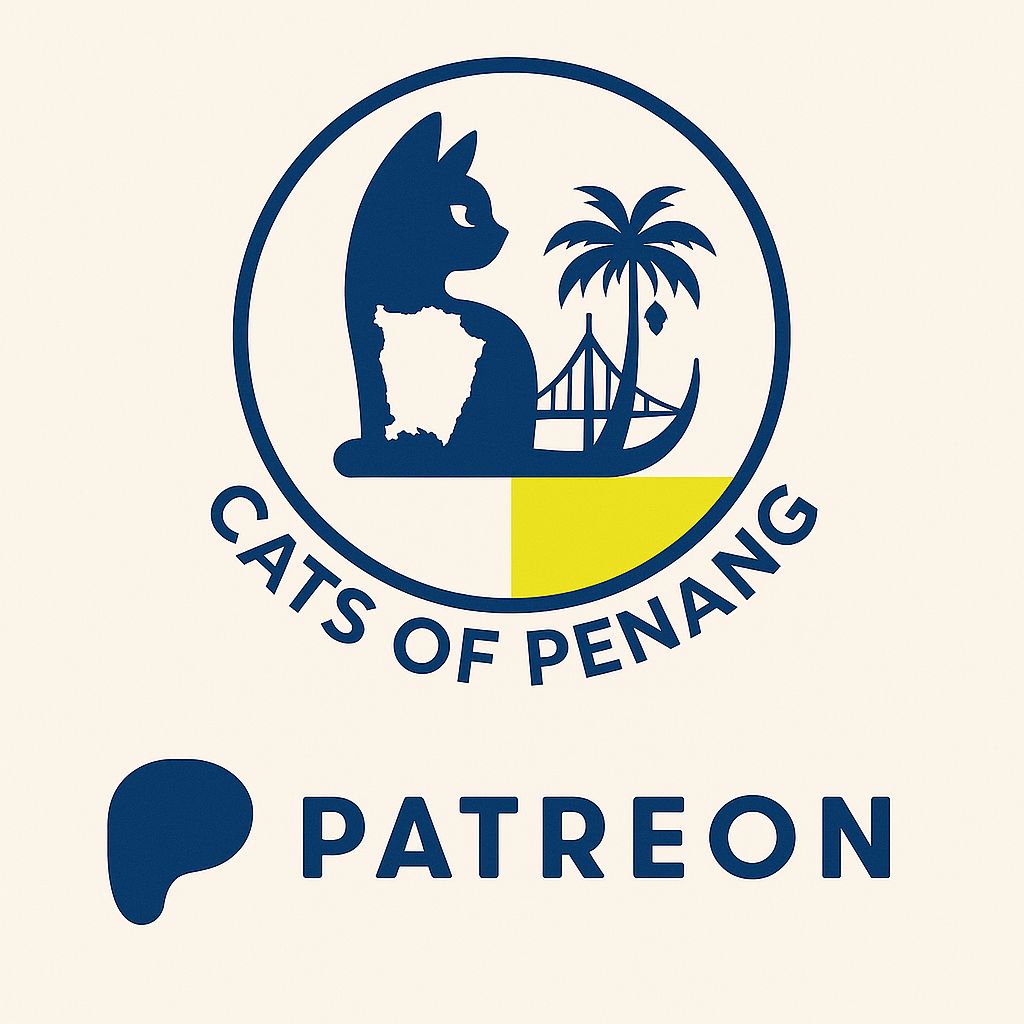 Featured cat story